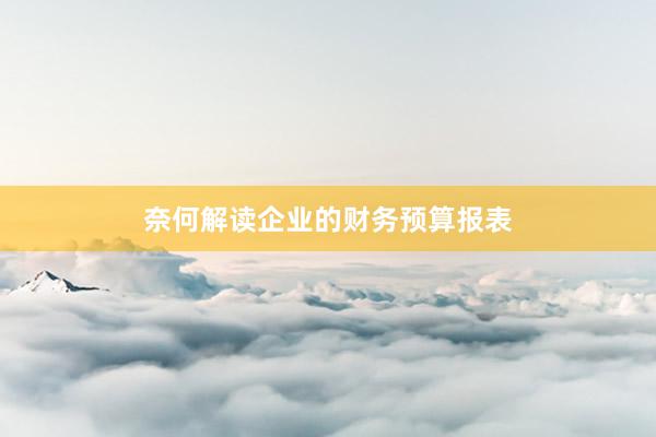 奈何解读企业的财务预算报表
