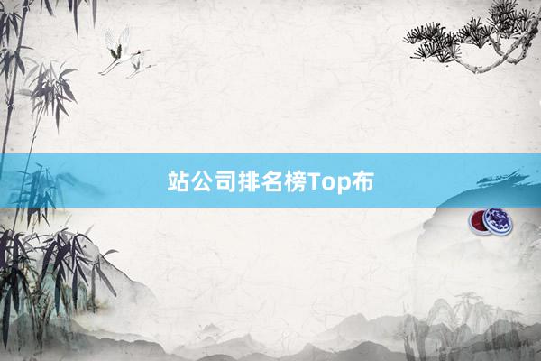 站公司排名榜Top布