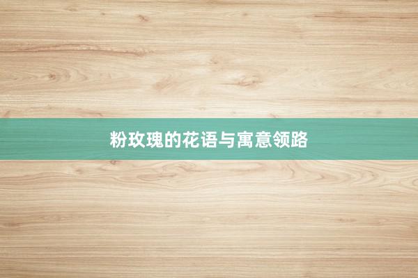 粉玫瑰的花语与寓意领路