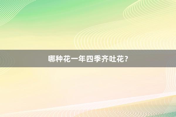 哪种花一年四季齐吐花？