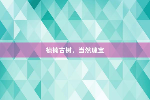 桢楠古树，当然瑰宝